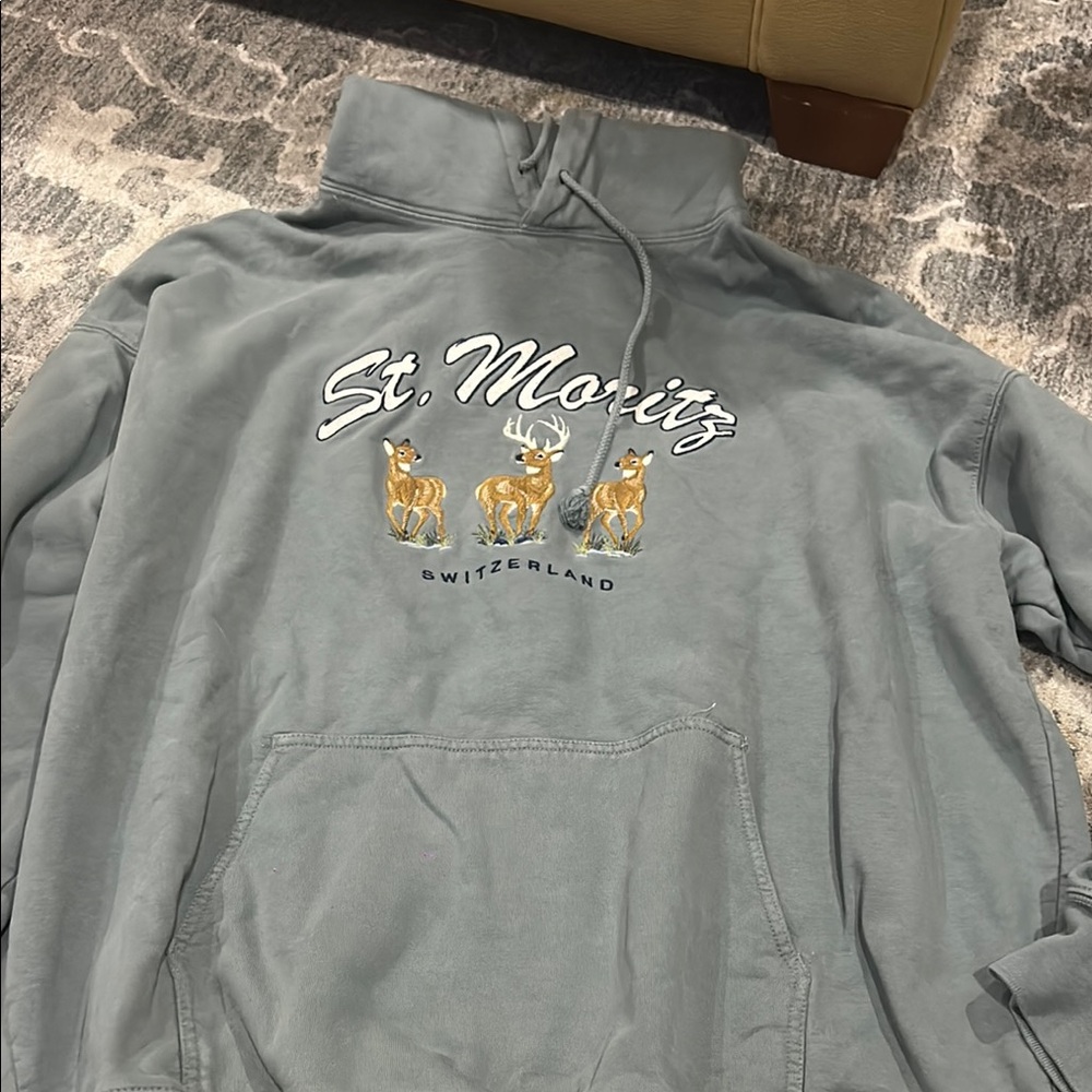 Brandy Melville Gray St. Moritz Sweater